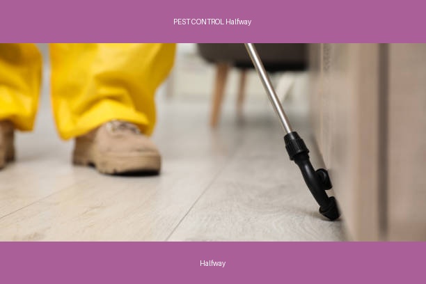 PEST CONTROL Halfway